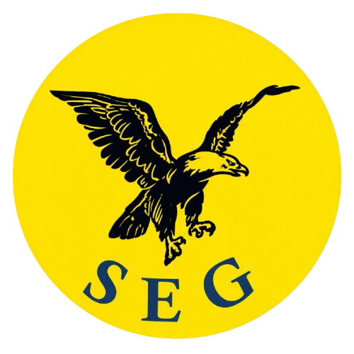 SEG Monitoramento